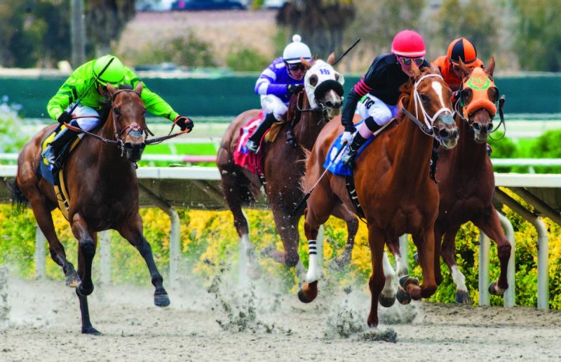 Ex-official photographer for sports arena opens gallery