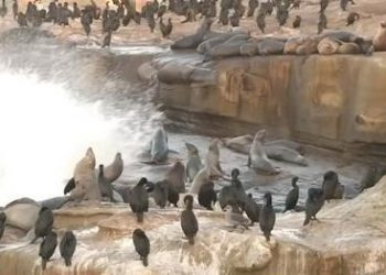 Get out of your bubble,' Reich urges 400 at wage parley