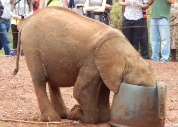 Orangetheory offers a fitness modality for everyone