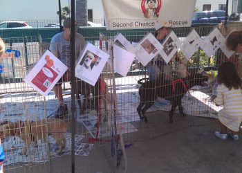 Fashion Files for September