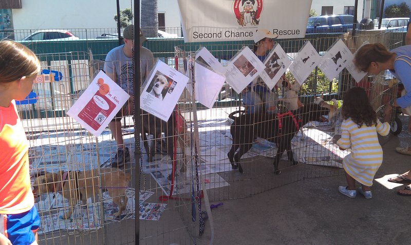 Peninsula-area events, Sept. 8 through Sept. 29