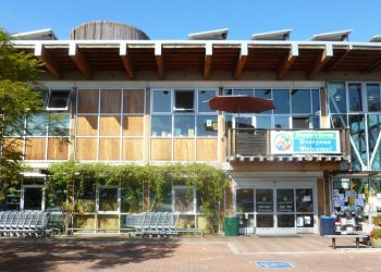 Lady Pointers soccer wins City League title