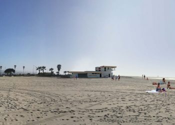 New ice age begins as Gulls come back to roost in San Diego