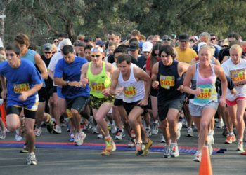 Officials attempt to slow down Bird Rock drivers