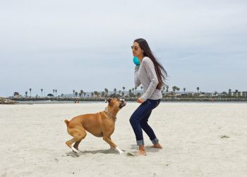 Owens ordered to stand trial in Fiesta Island mishap