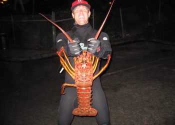 Former PB man gets 15 to life for killing roommate in 2008