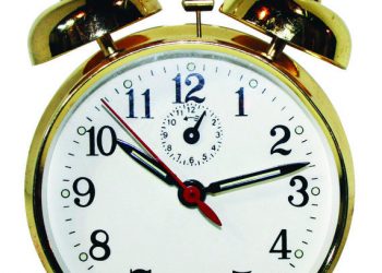 Local planning groups prep for 2012 elections