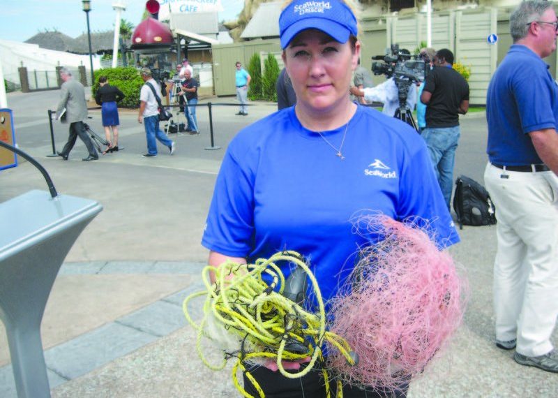 Groups propose ban on plastic bags