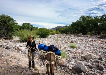 LJHS boys volleyball: Otherworldly for a CIF title