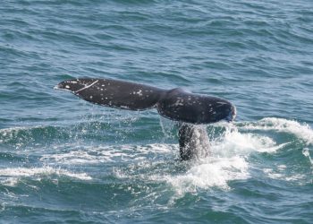 ‘Listen Local’ event to rock Winston’s each Thursday