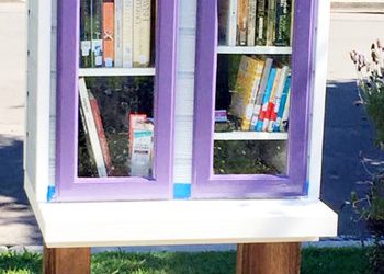 Sharing the love of reading with Lee’s Little Lending Library in Pacific Beach