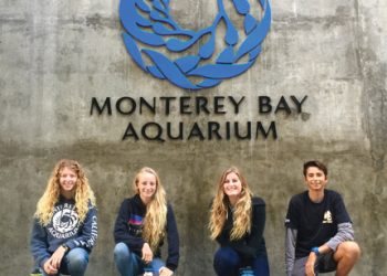 Options for De Anza Revitalization in Mission Bay still being discussed