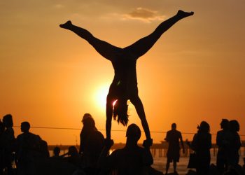 Good Dog Pet Outfitters grand opening celebration set for Oct. 7