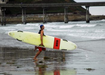 Paw It Forward: donate coats, sweaters for pets of the homeless