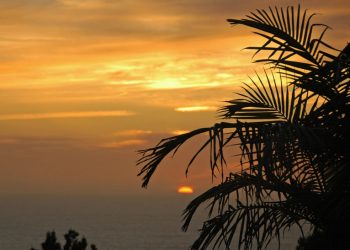 Hidden in Hotel Circle