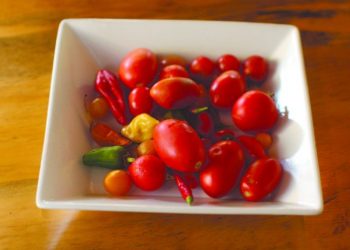 A look at the beach booze ban, six years later