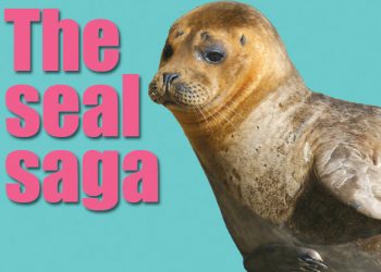 Citation dismissals leave seal activists questioning enforcement
