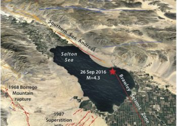 Karl Strauss named Mid-Size Brewing Company of the Year