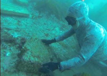 MUST HEAR: Award-winning pianist Danny Green to play LJCC