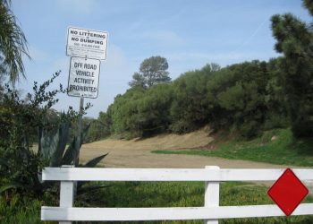 The Wine Pub honors four Peninsulans for community service