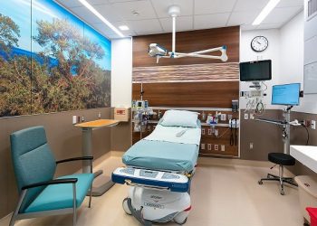 Criminal proceedings suspended for man accused of murder in Midway