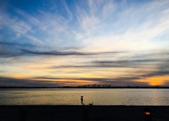 YEAR IN REVIEW – Scooters, dog parks, vehicle habitation, Plunge re-opens, Margaritaville coming, and more scooters