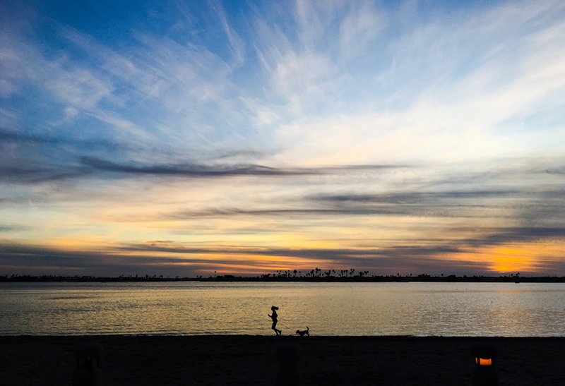 YEAR IN REVIEW – Scooters, dog parks, vehicle habitation, Plunge re-opens, Margaritaville coming, and more scooters