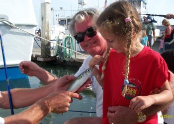 Garden walk to showcase the best-of-the-best on Peninsula