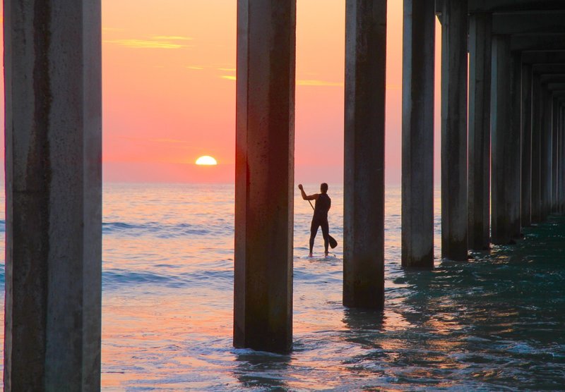 La Jolla news and community briefs