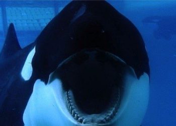 Younger boomers will pay dearly amid Congress' surreptitious act