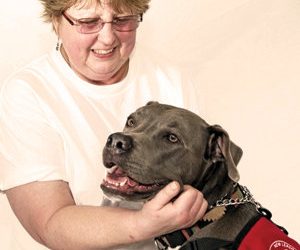 Magical Landscape, Neighborhood Treasure: OB’s ‘Hidden Garden’ takes visitors to another time