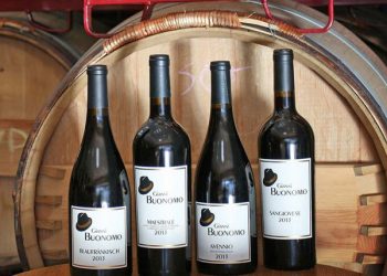 Pacific Beach entrepreneur has it made in the shades