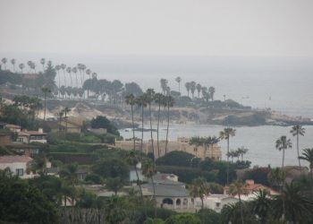 University City updates: Summer concerts, Marian Bear and more