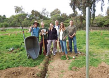 How does your community garden grow? Ask PLNU, Westminster Presbyterian