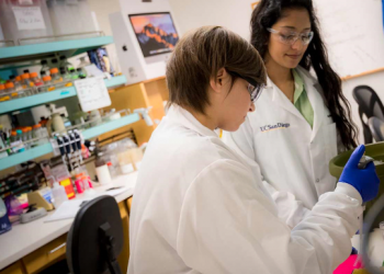 Is the City’s new ramp plan at Dog Beach a ‘boondoggle?’