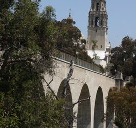 Faulconer, residents shielding libraries from cuts