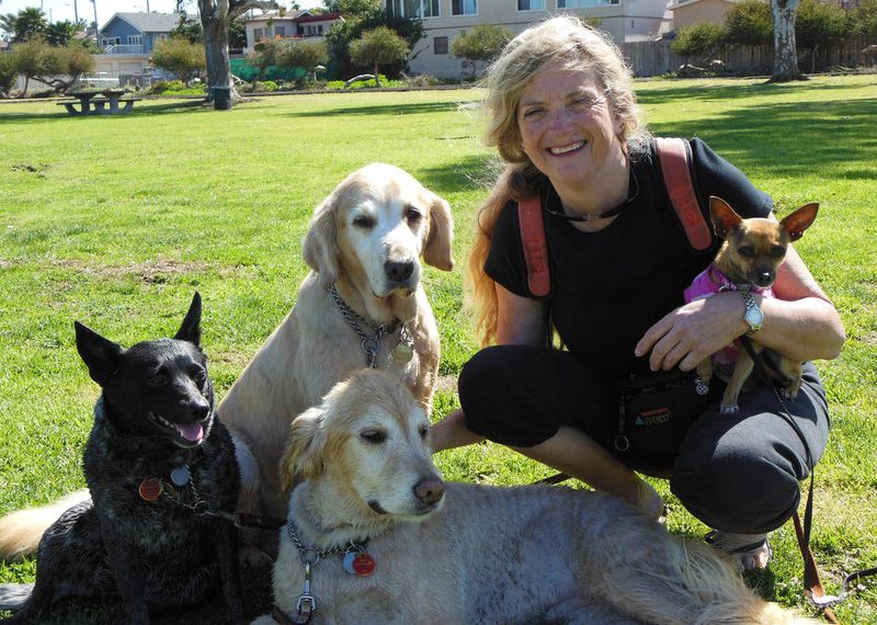 Ocean Beach’s Tech Pet Care goes dog-sitters one better