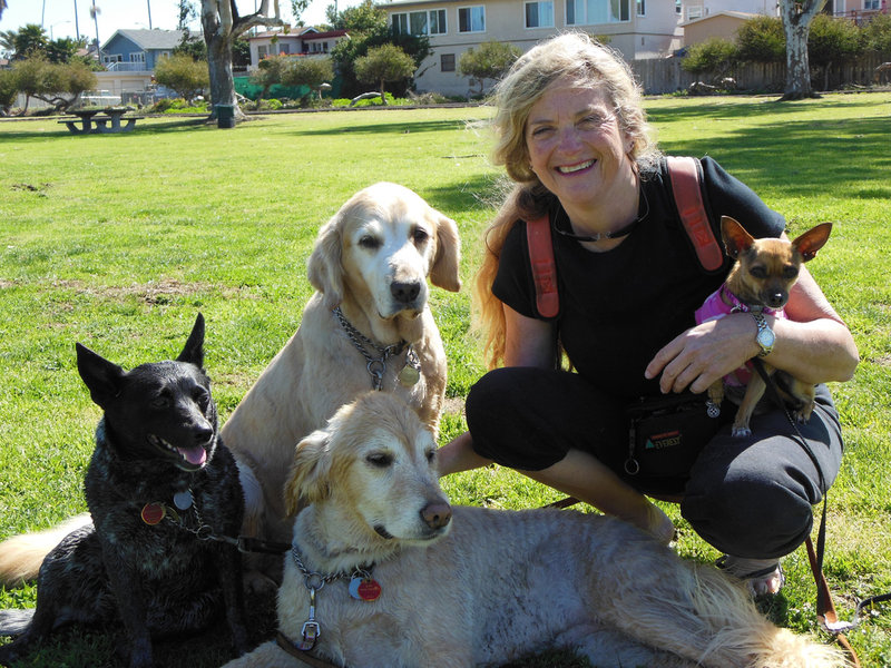 Ocean Beach’s Tech Pet Care goes dog-sitters one better