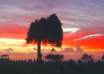 University City students take part in Global Climate Strike