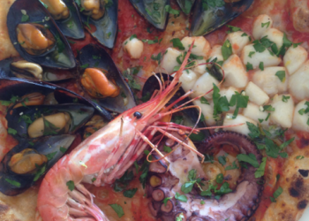 Mission Valley Library Events: Nov. 13 – Dec. 10, 2015