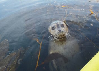 Hats, haute, and horses at Del Mar's Opening Day