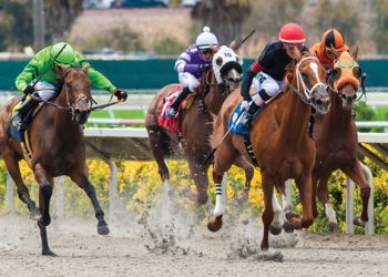 Uniting through music