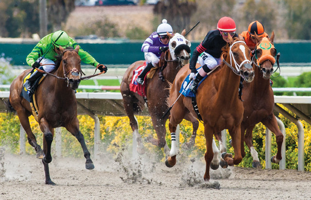 Rockers have star status at new Girard photo gallery