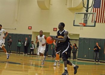 Torreys undercut by Panthers; Vikes sting hornets