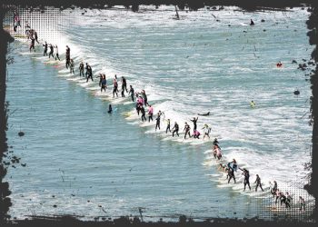 Suspect sought after Chihuahuas found in trash can