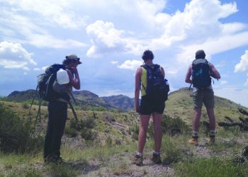 Mayor’s Office is taking enforcement of dispensaries, food trucks seriously