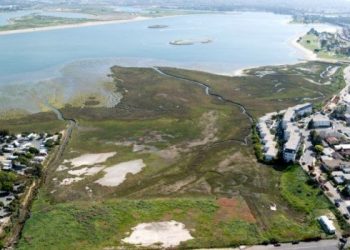 U.S. Attorney names district elections officer for Southern District of California