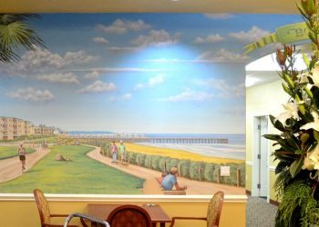 Disabled vet pleads guilty in vehicular death