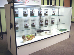 City Council reverses direction on medical pot dispensary rules