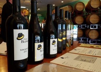 Sometimes karaoke leads to a career in music